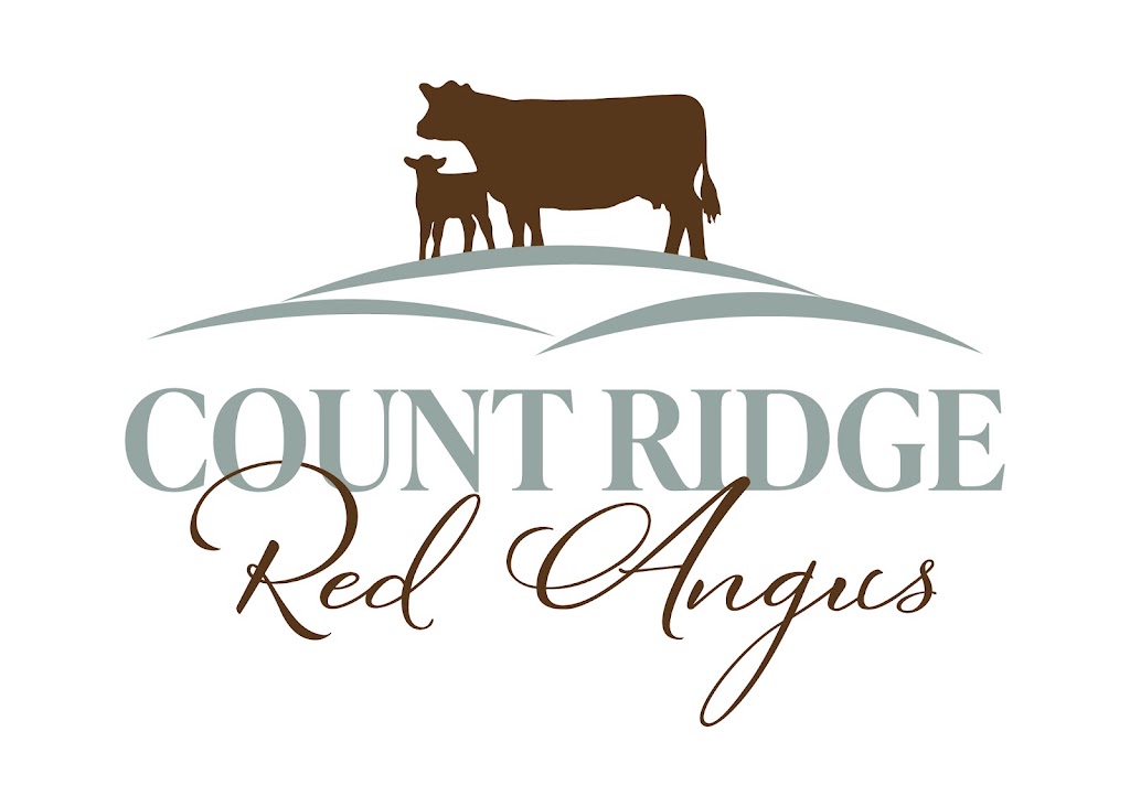COUNT RIDGE RED ANGUS | 50°4725.0"N 112°2138.6"W 50.790264, -112.360722, Bassano, AB T0J 0B0, Canada | Phone: (403) 641-2205