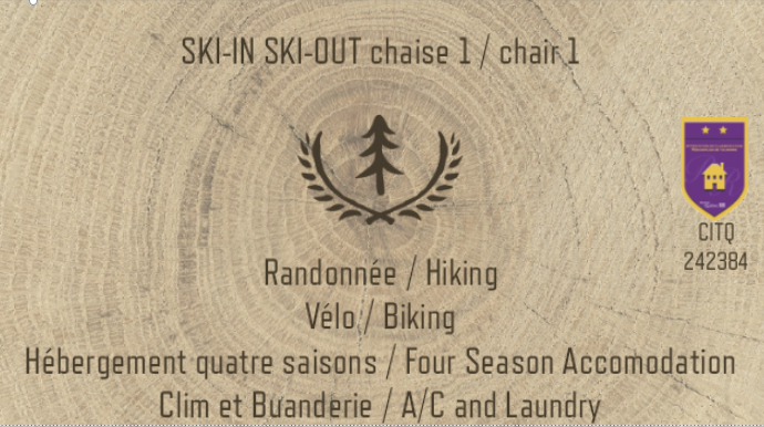 Chalet Sous-Bois Ski-In Ski-Out | 136 Chemin Boulanger #130, Sutton, QC J0E 2K0, Canada | Phone: (877) 787-8803