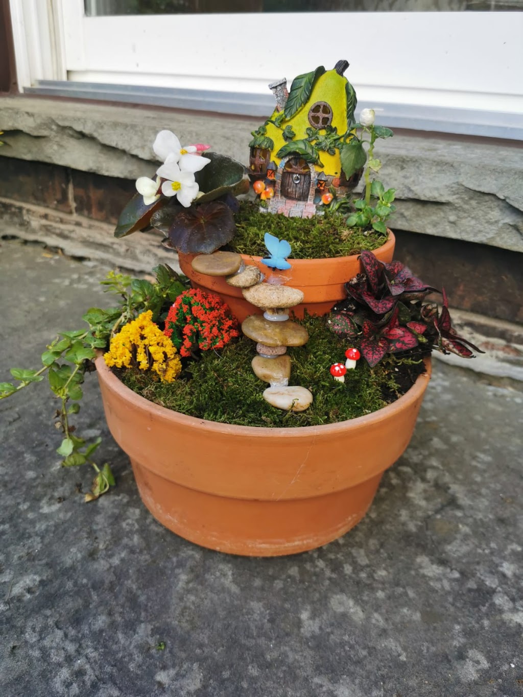 Mini Garden Store | 50 Windsor Rd, Georgetown, ON L7G 4W7, Canada | Phone: (289) 683-9195