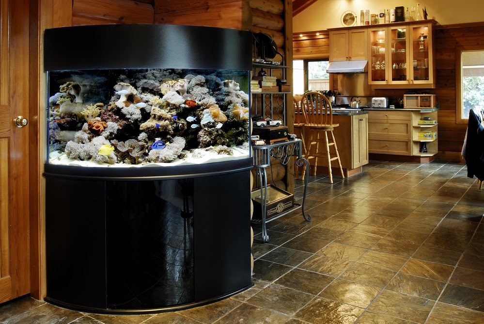 Shiny Fish Ltd | 14770 64 Ave #103, Surrey, BC V3S 1X7, Canada | Phone: (604) 649-1301