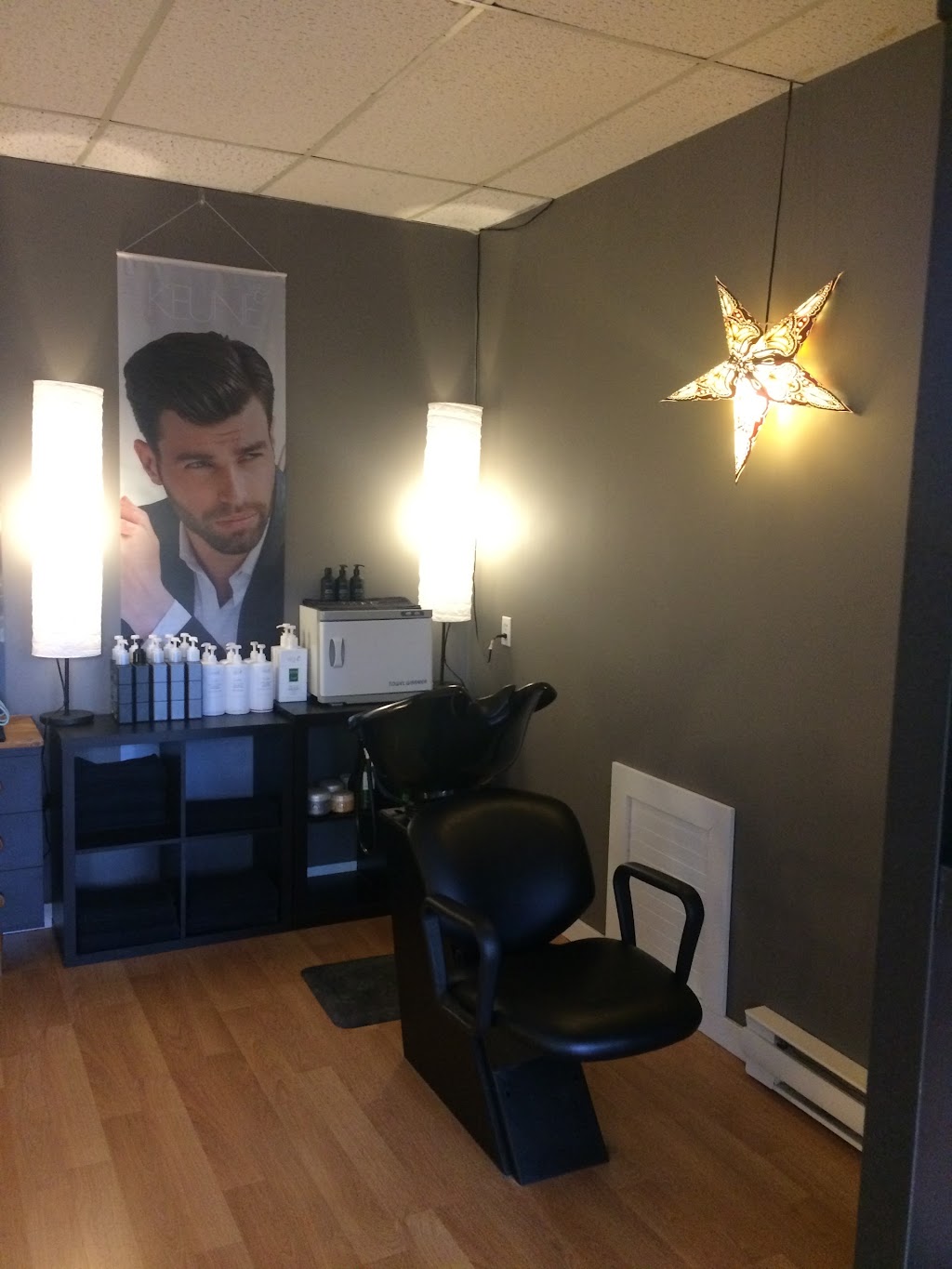 Salty Manes | 323 Lower Ganges Rd, Salt Spring Island, BC V8K 2V4, Canada | Phone: (778) 353-2244