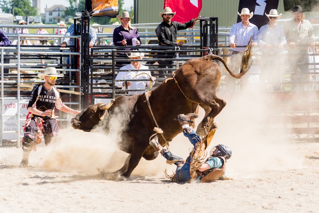 Burford Fairgrounds | Park Ave, Brant, ON N0E, Canada | Phone: (519) 449-5694