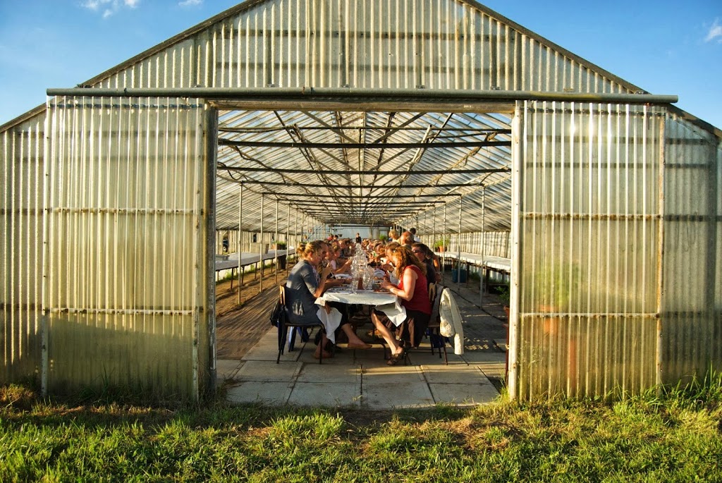 River Bell Organic Market Garden | 559 Sydenham St, Chatham-Kent, ON N0P 1M0, Canada | Phone: (519) 683-2052