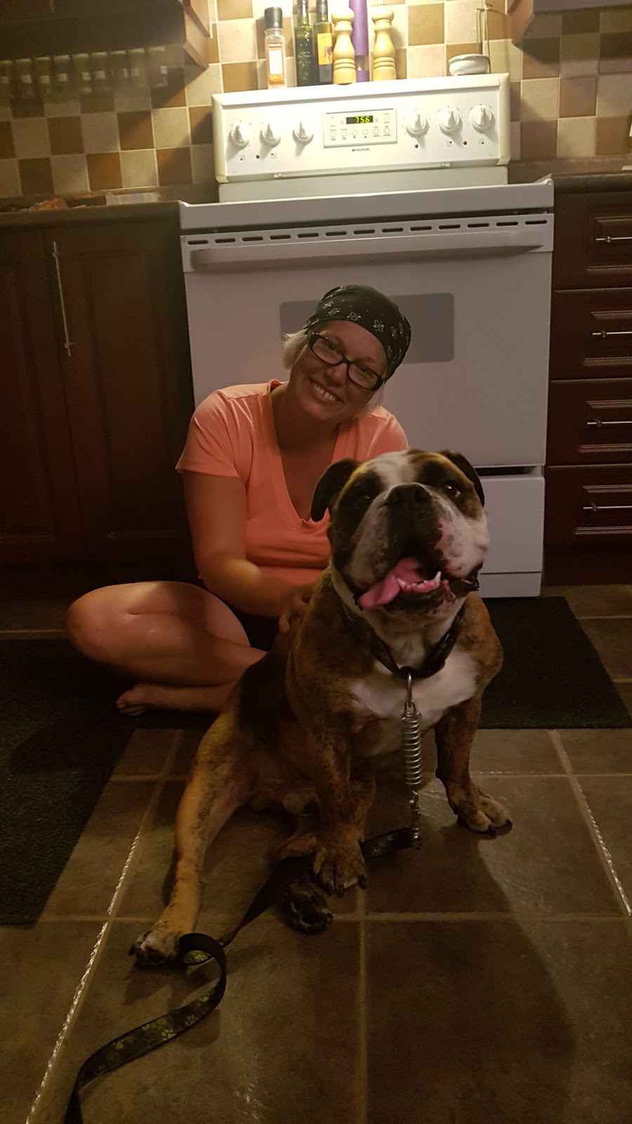 Inspecteur Canin | 678 Rue de la Visitation, Saint-Charles-Borromée, QC J6E 7S3, Canada | Phone: (450) 756-4791