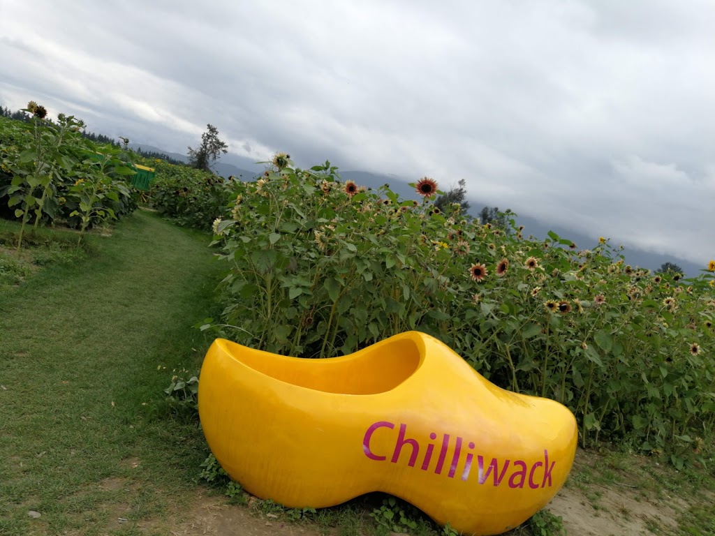 Royalwood Golf Course | 41050 Royalwood Dr, Chilliwack, BC V2R 4J1, Canada | Phone: (604) 823-4653