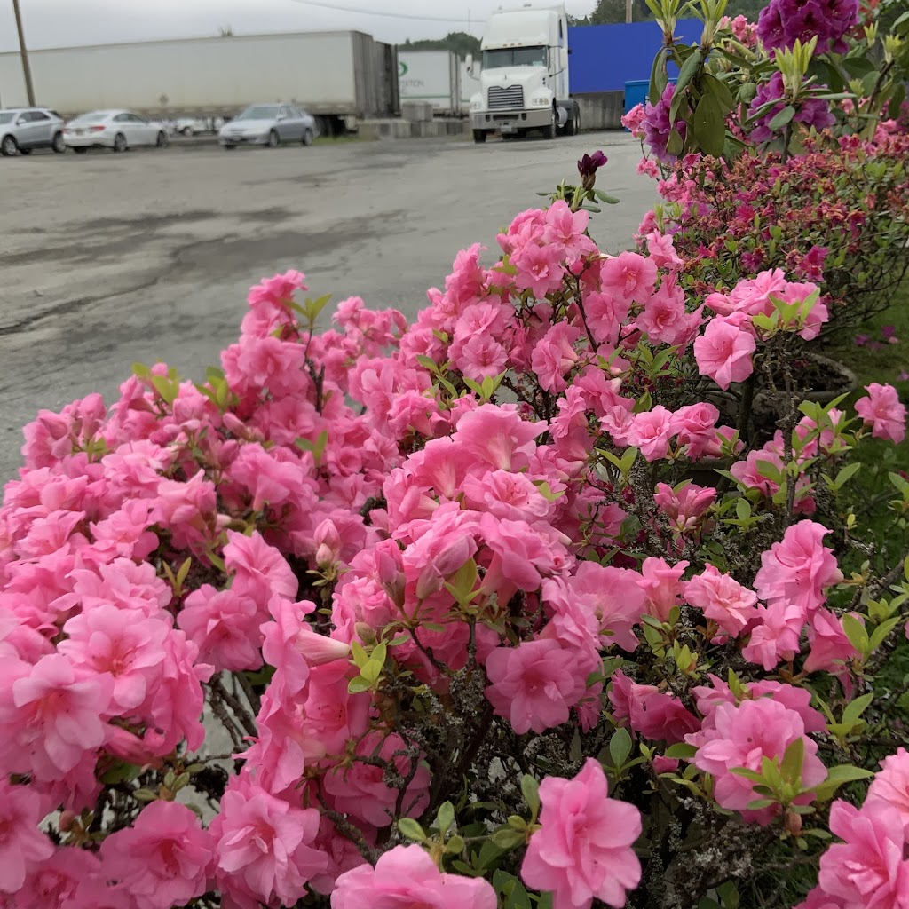 Timberland Secure Truck Parking | 10909 Timberland Rd, Surrey, BC V3V 3T6, Canada | Phone: (604) 500-2703