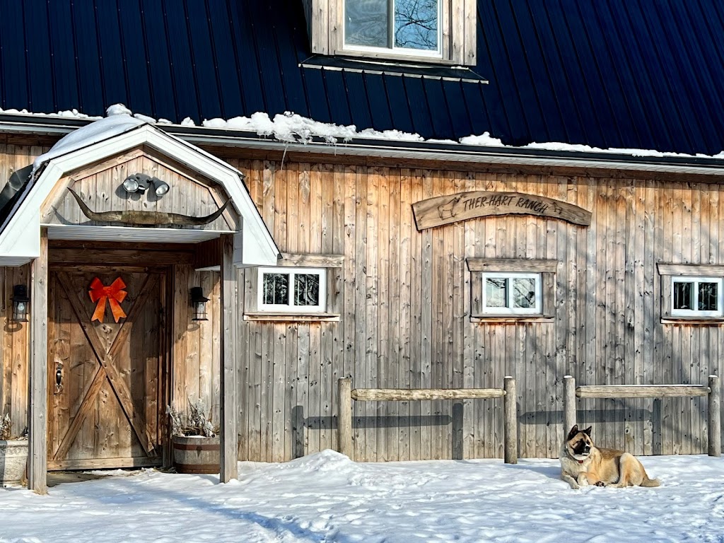 Ther-Hart Ranch | 2050 Chem. Lagueux, Stanstead, QC J0B 3E1, Canada | Phone: (819) 238-4701
