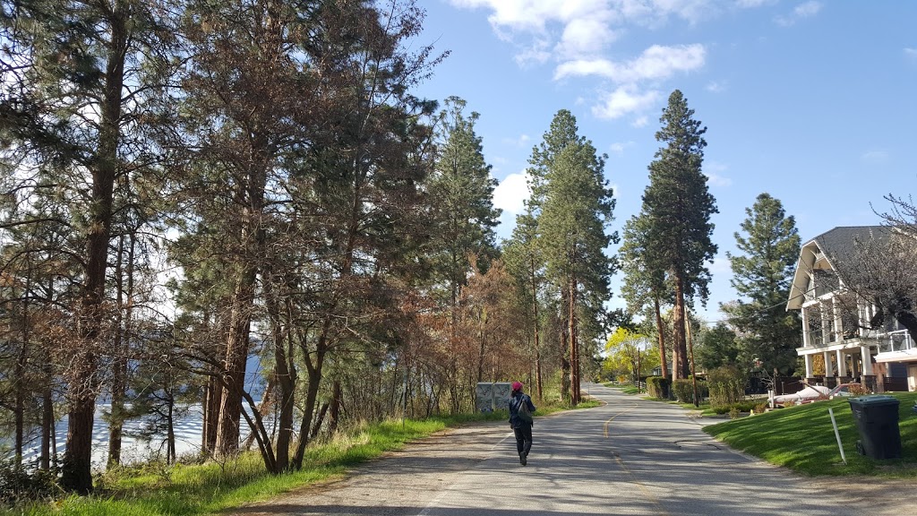 Okanagan Centre Safe Harbour | 10895-10943 Okanagan Centre Rd W, Lake Country, BC V4V 2H5, Canada | Phone: (250) 763-4918