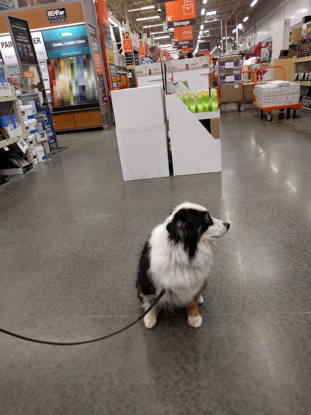 The Home Depot | 420 Telegraph Rd, Bellingham, WA 98226, USA | Phone: (360) 715-0090