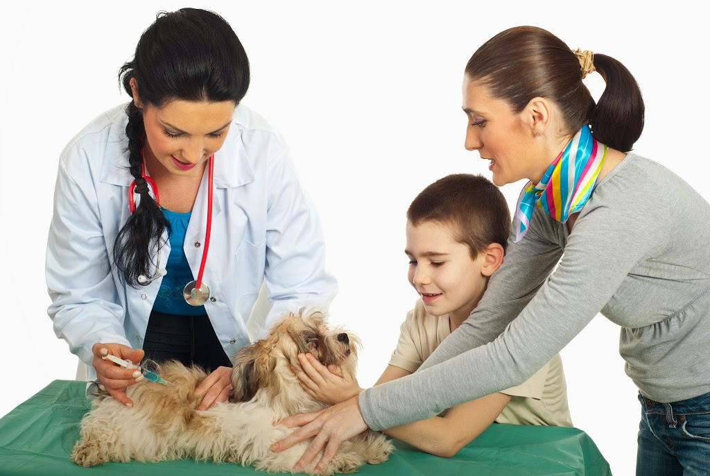 Bureau vétérinaire AnimaPlus Moffet de SteBrigitte 224, av Ste