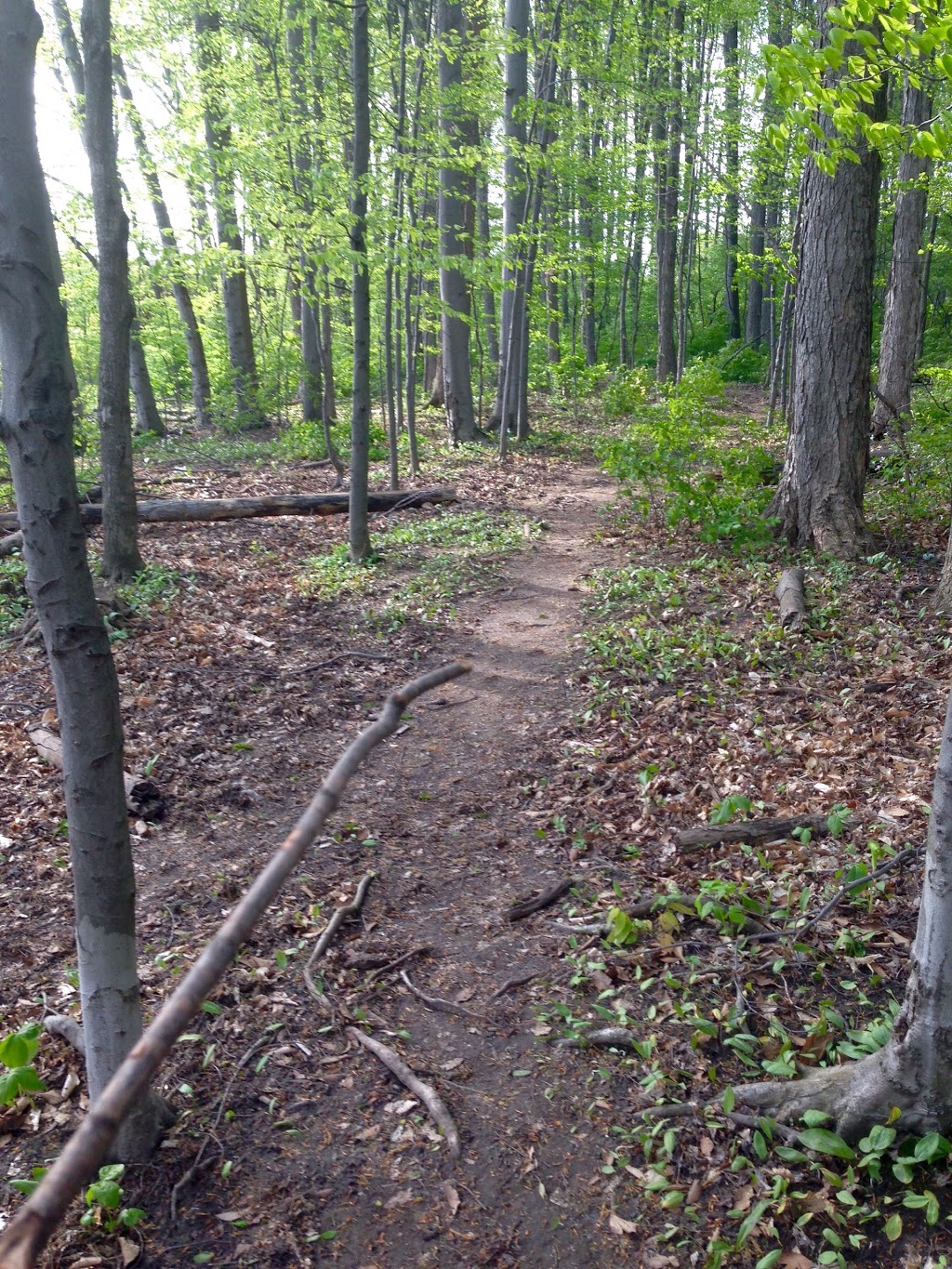 Sugarbush Park | Waterloo, ON N2L, Canada