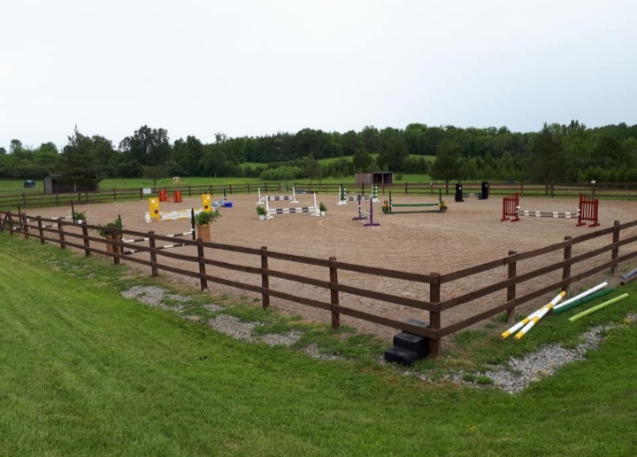 New Beginnings Equine Stables | 238 Hayes Line, Omemee, ON K0L 2W0, Canada | Phone: (705) 927-5974