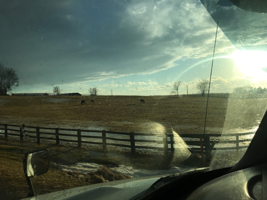 Spring Farms | 33933 Prospect Hill Rd, Granton, ON N0M 1V0, Canada | Phone: (519) 225-2845