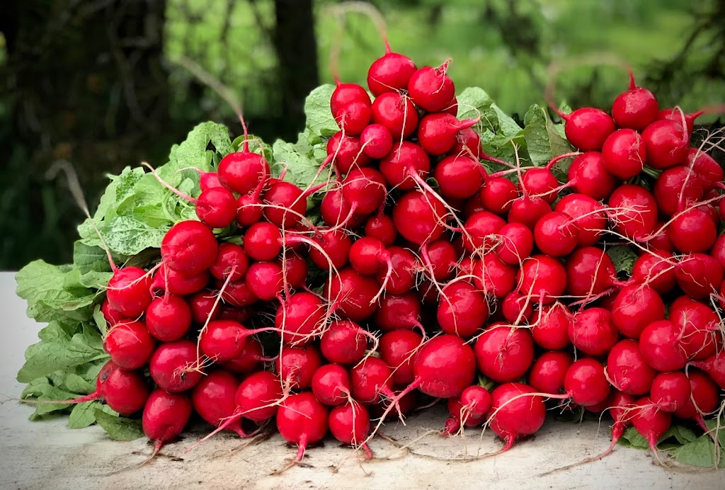 Plenty Wild Farms | 7611 Pemberton Meadows Rd, Pemberton, BC V0N 2L2, Canada | Phone: (604) 938-3730