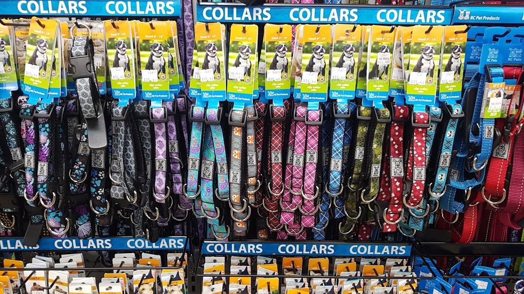 Mr. Pets | 201 Bewicke Ave, North Vancouver, BC V7M 3M7, Canada | Phone: (778) 340-1102