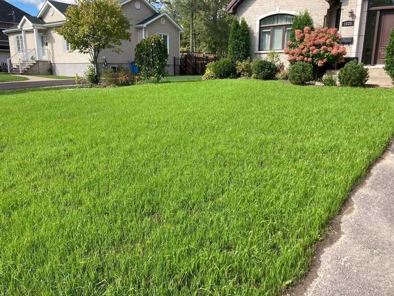 MonGazon | 1862 Rue Henri-Blaquière, Chambly, QC J3L 0J8, Canada | Phone: (514) 886-9697
