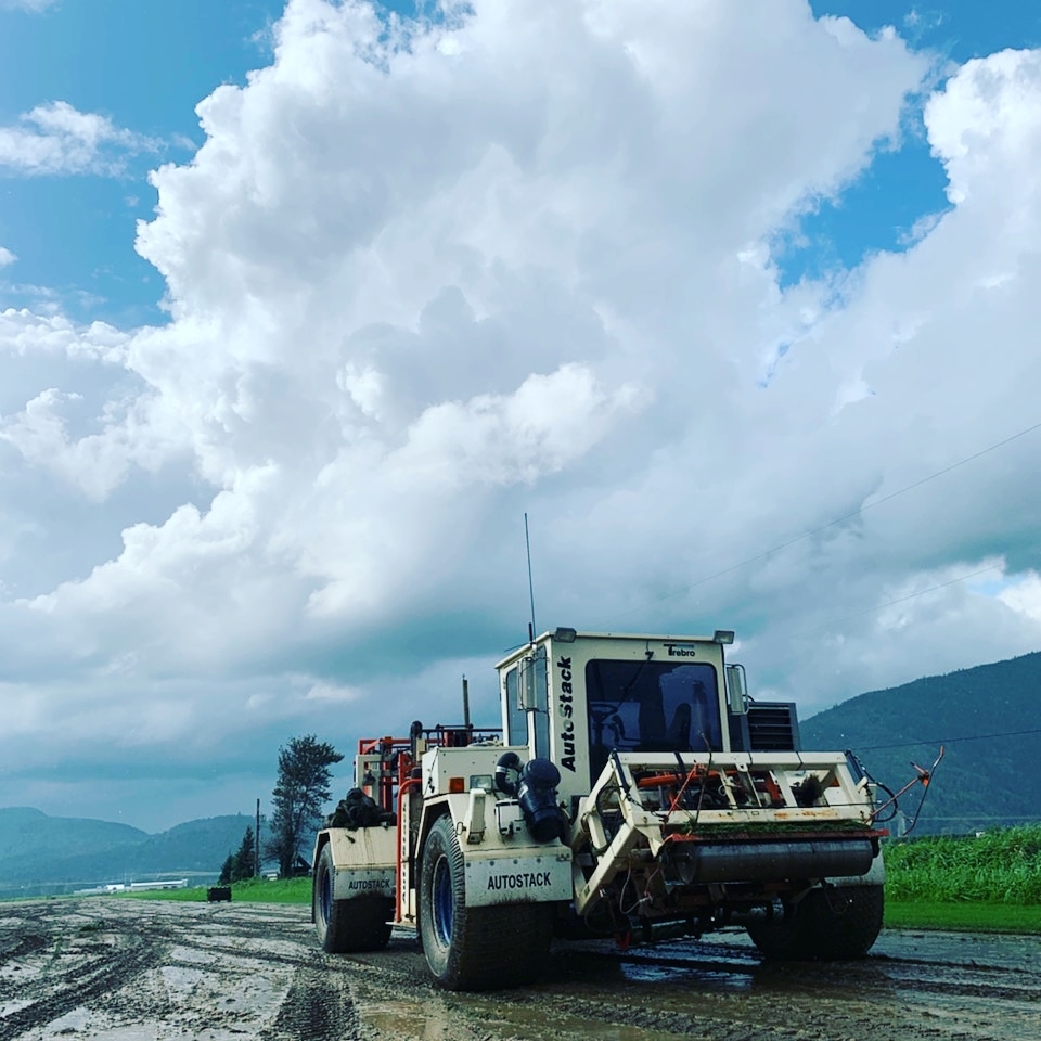 Western Turf Farms Ltd | 39183 No 5 Rd, Abbotsford, BC V3G 2G3, Canada | Phone: (604) 850-6660
