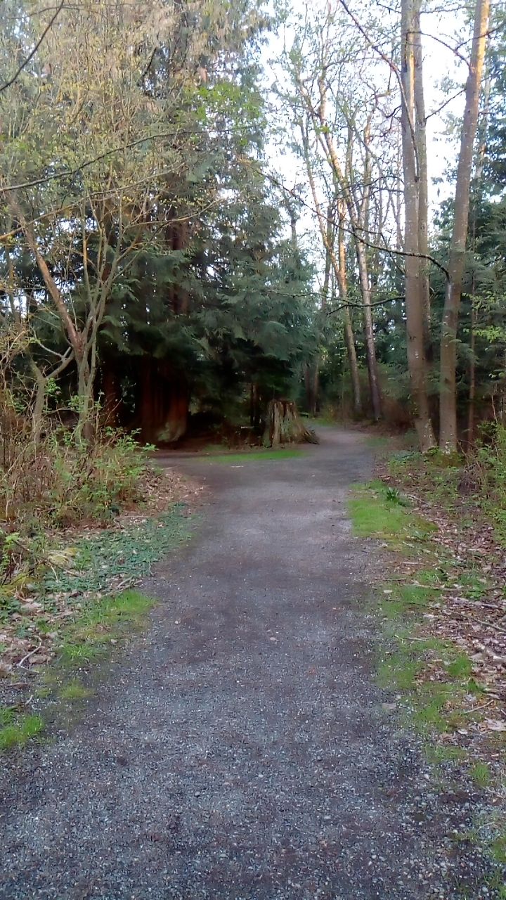 East View Trail Park | 7648 125 St, Surrey, BC V3W 7W4, Canada | Phone: (604) 552-9053