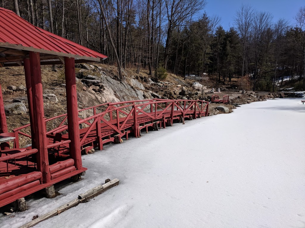 Huong Hai Zen Forest | 121B Bridgewater Rd, Tweed, ON K0K 3J0, Canada | Phone: (613) 478-5984