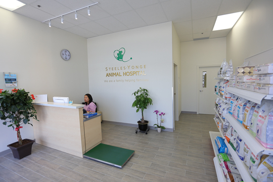 Steeles-Yonge Animal Hospital | 180 Steeles Ave W #15, Thornhill, ON L4J 2L1, Canada | Phone: (905) 597-8387