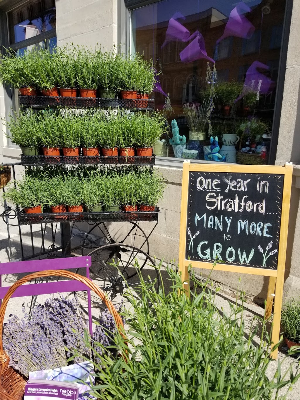 neob lavender | 106 Ontario St, Stratford, ON N5A 3H2, Canada | Phone: (519) 271-1108