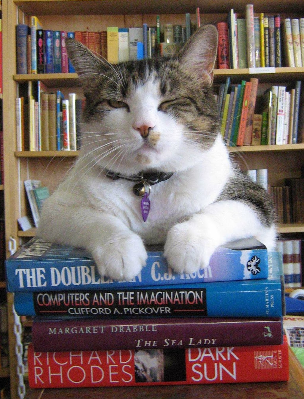 Companion Books | 4094 Hastings St, Burnaby, BC V5C 2H9, Canada | Phone: (604) 293-2665