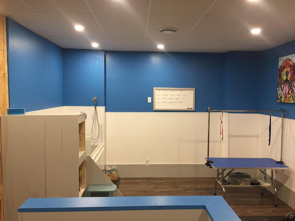 MAJOR Dog Grooming | 215 Lisgar St, Brighton, ON K0K 1H0, Canada | Phone: (613) 475-1599