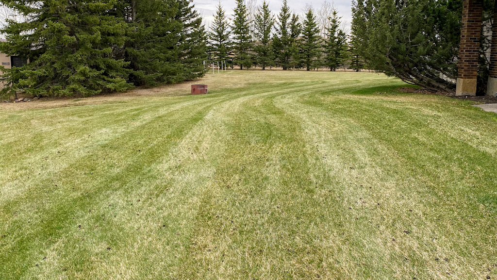 Simple Yard | 225 Railway St E, Cochrane, AB T4C 2C3, Canada | Phone: (587) 601-1220