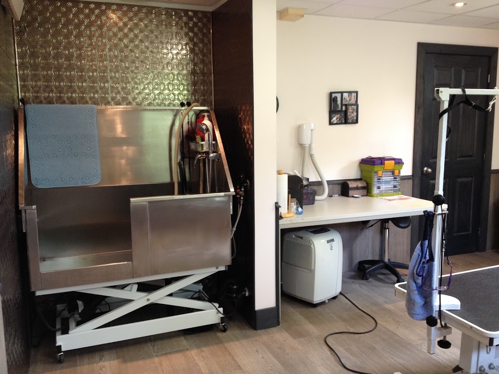 Toilettage Espace-Zen | 1 Chemin Mullarkey, Brome, QC J0E 1K0, Canada | Phone: (450) 330-3054