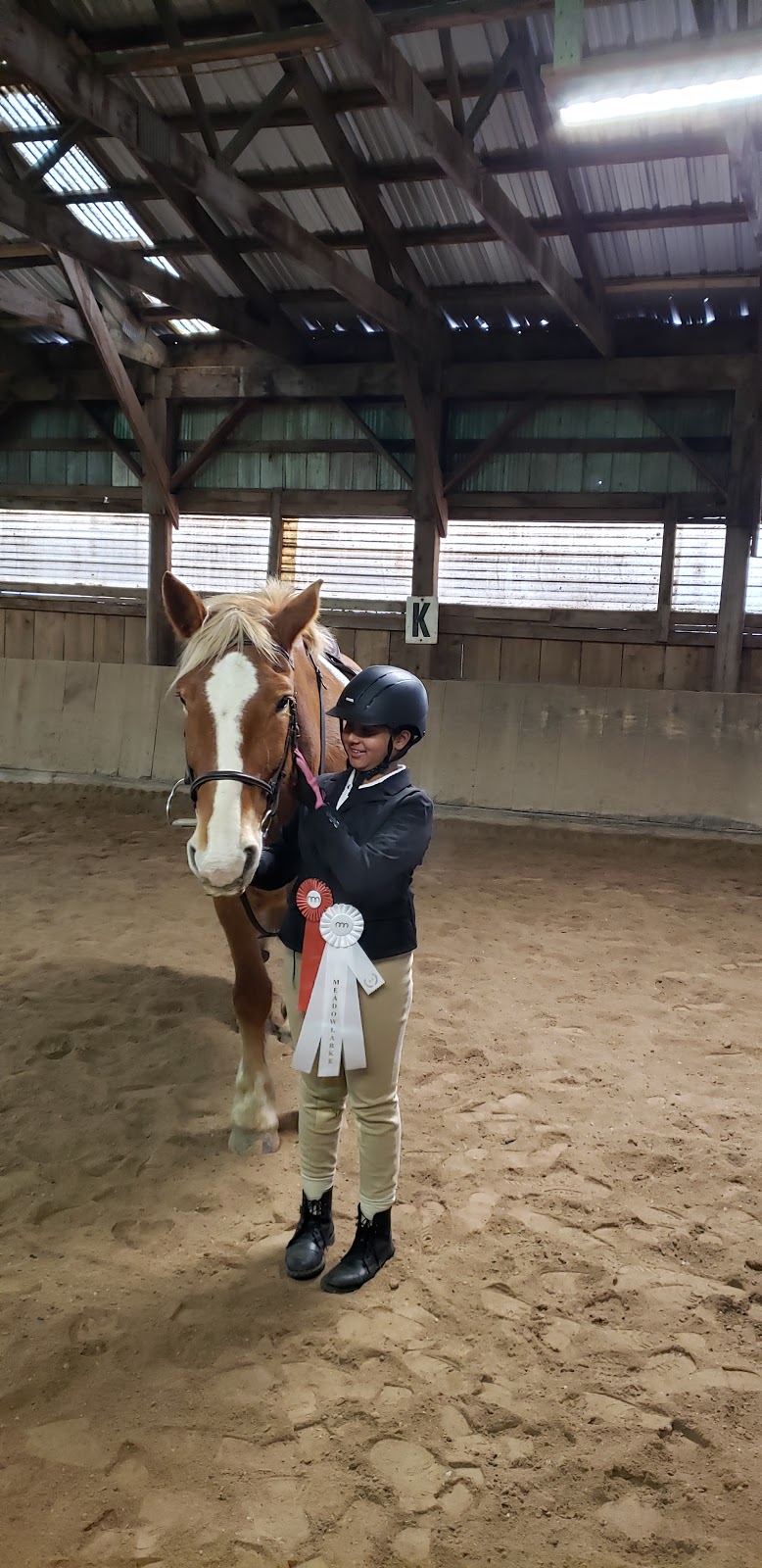 Meadowlarke Stables | 2800 Meadowpine Blvd, Mississauga, ON L5N 8C7, Canada | Phone: (905) 821-0419
