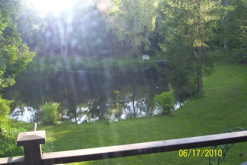 Jackson Creek Farm | 897 13 Line N, Hawkestone, ON L0L 1T0, Canada | Phone: (705) 326-4031