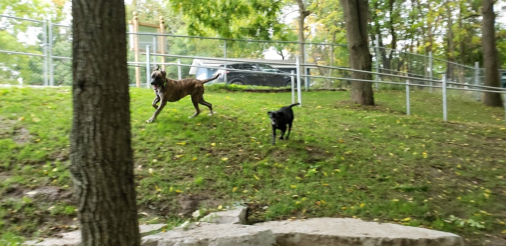 Ontario SPCA - Orillia Animal Centre | 467 West Street N, Orillia, ON L3V 5G1, Canada | Phone: (705) 325-1304