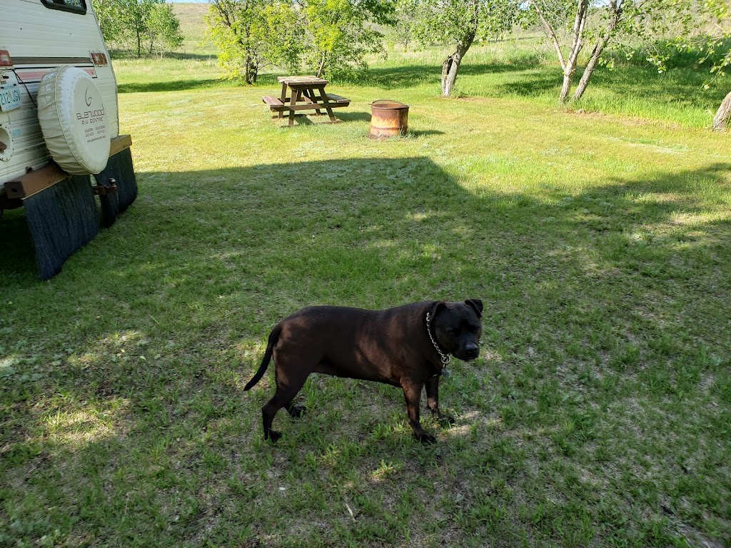 Biggar and District Regional Park | 1 km and 2 km North of Biggar, SK-4, Biggar, SK S0K 0M0, Canada | Phone: (306) 948-6400