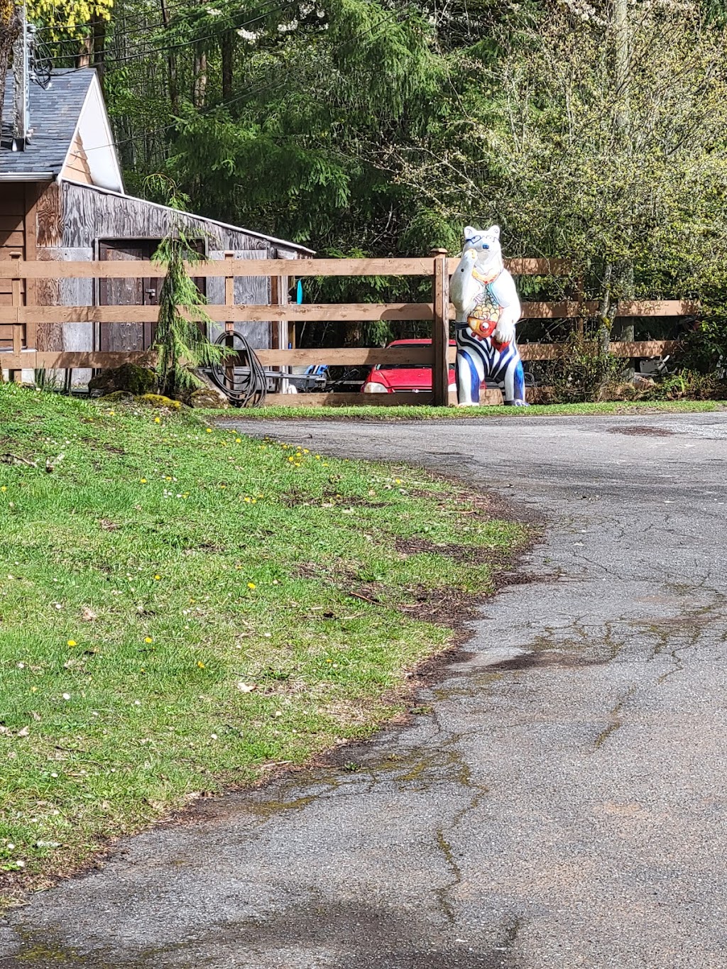 Easter Seals Camp Shawnigan | 2180 Shawnigan Lake Rd, Shawnigan Lake, BC V0R 2W5, Canada | Phone: (250) 743-3031
