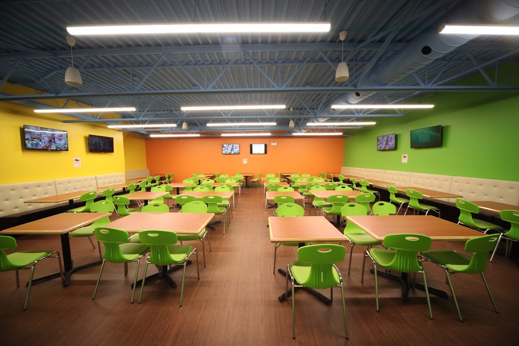 Treehouse Indoor Playground - Red Deer | 7710 Gaetz Ave #6, Red Deer, AB T4P 2A5, Canada | Phone: (403) 541-0002