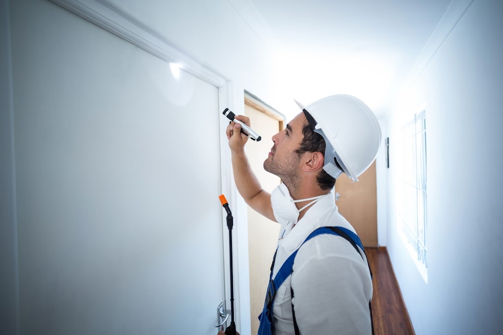 Ally Pest Control Inc. | 4663 Durant St, Port Alberni, BC V9Y 1G3, Canada | Phone: (250) 918-8203
