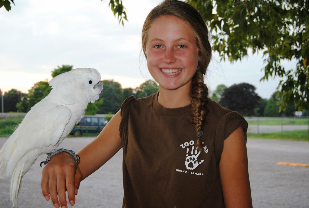Safari Zoo Camp | 3667 Concession Rd 6, Orono, ON L0B 1M0, Canada | Phone: (905) 983-8217