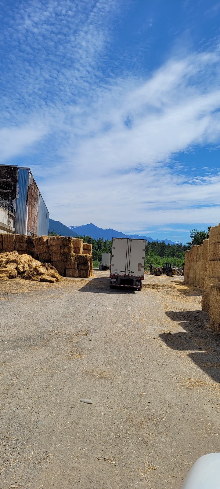 Highline Mushrooms West | Moore Kostiuk Rd, Hope, BC V0X 1L0, Canada | Phone: (604) 856-3818