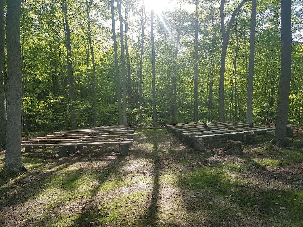 Stillbrook Riding Stables | 570 Woodside Rd, Keene, ON K0L 2G0, Canada | Phone: (705) 295-4538
