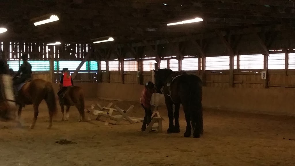 Equine Emporium The | 2800 Meadowpine Blvd, Mississauga, ON L5N 7E6, Canada | Phone: (905) 821-2159