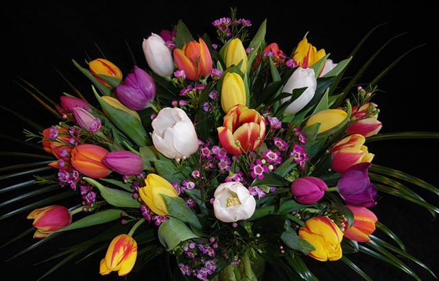 Greenery Florist & Gallery | Kitsilano Dunbar UBC Florist | 3765 W 14th Ave, Vancouver, BC V6R 2W8, Canada | Phone: (604) 688-2832