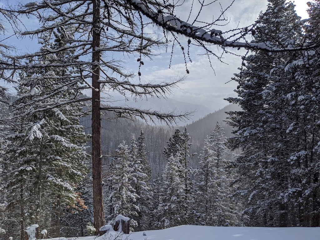 Kimberley Nordic Club | 840 N Star Dr, Kimberley, BC V1A 3E9, Canada | Phone: (250) 427-9300