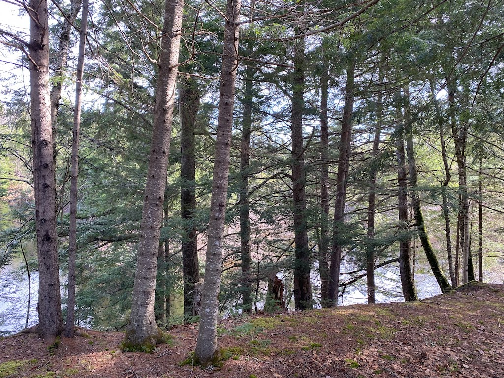 Mys Retreat | 2900 ON-518, Kearney, ON P0A 1M0, Canada | Phone: (249) 888-6668