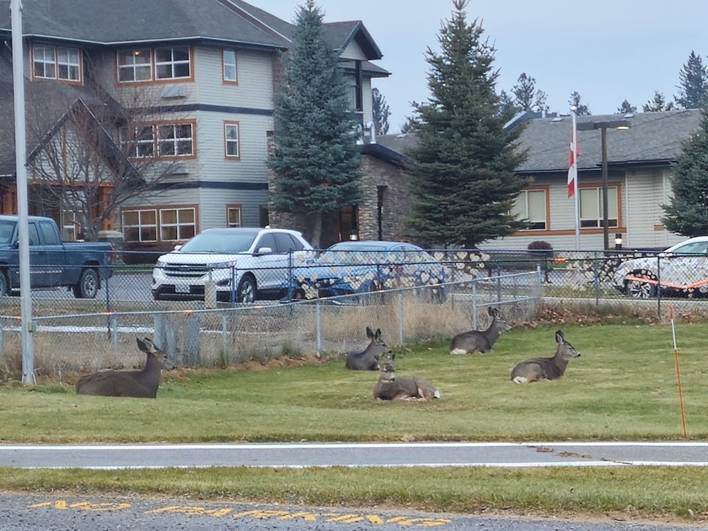 Invermere & District Hospital | 850 10 Ave, Invermere, BC V0A 1K0, Canada | Phone: (250) 342-9201