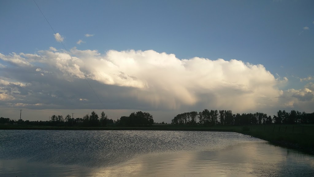 Crossfield Fish Pond | Fish Pond, Crossfield, AB T0M 0S0, Canada | Phone: (403) 555-1234