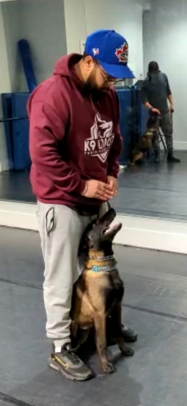 K9 Union Training Academy | 647 Crimson Crescent, Oshawa, ON L1J 8C9, Canada | Phone: (647) 889-4275