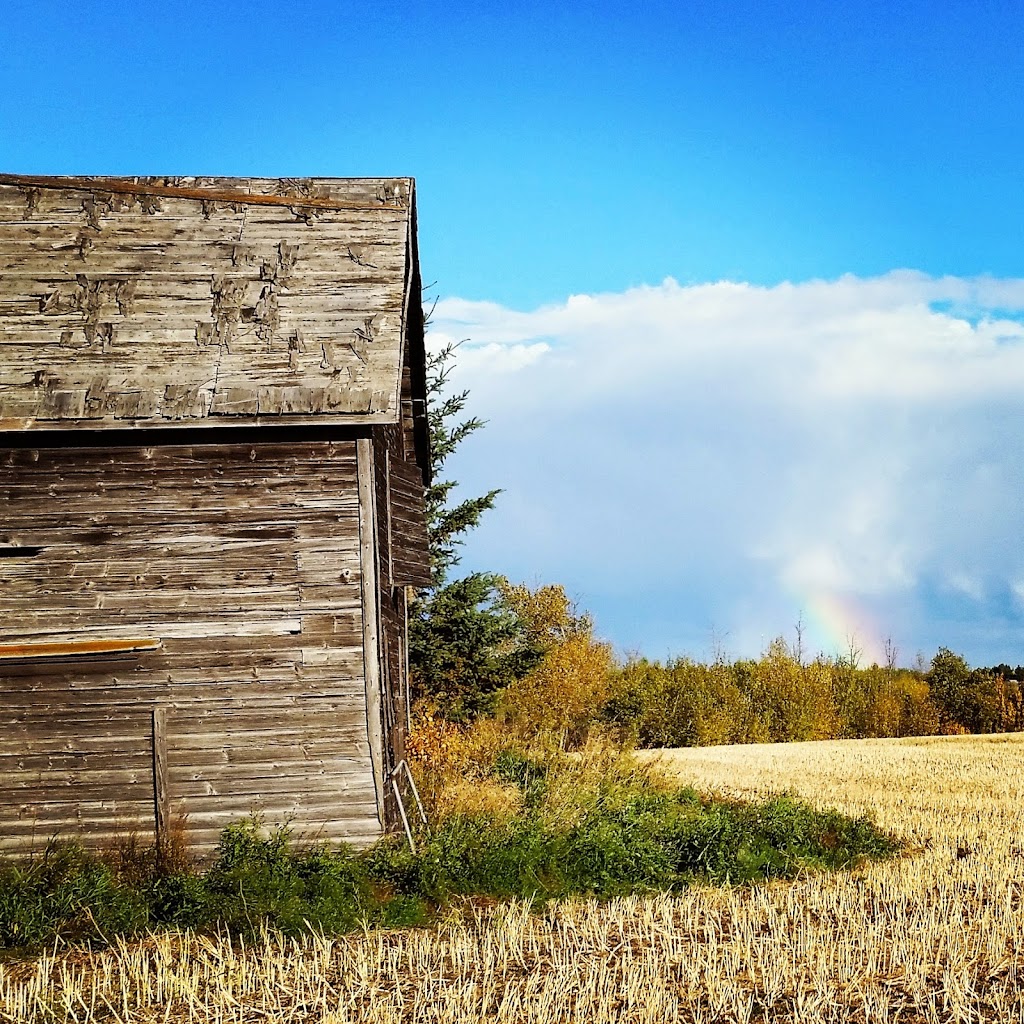 Albos Developments Ltd | 55017, Range Rd 230, AB T8L 5E5, Canada | Phone: (780) 670-3036