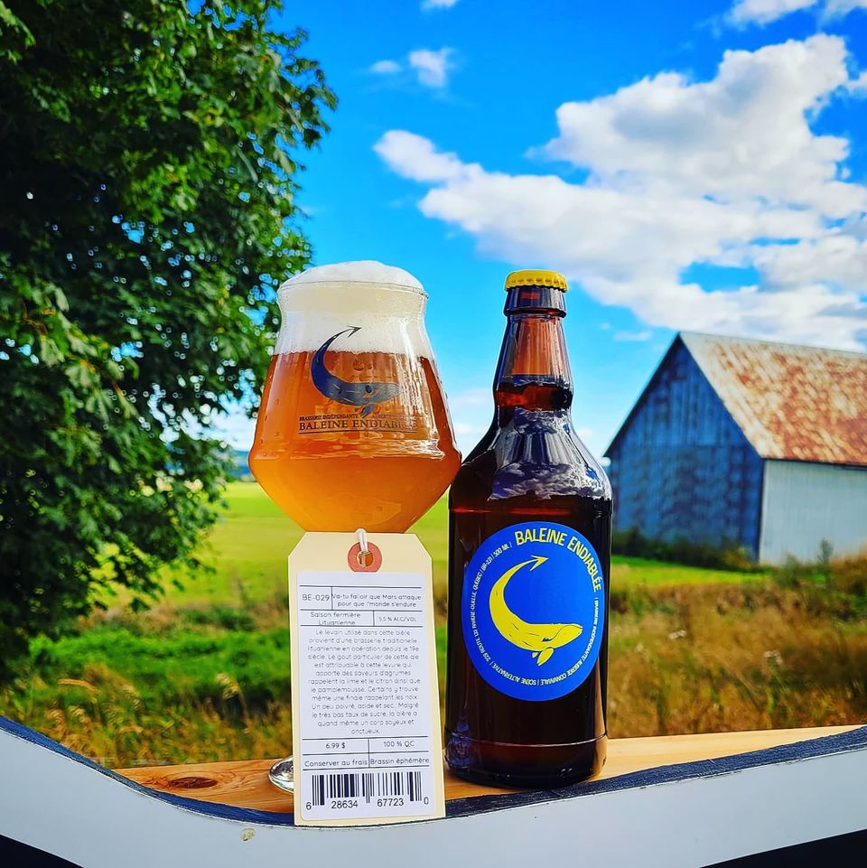 Baleine Endiablée Microbrasserie & salle de spectacle | 229 QC-132 #101, Rivière-Ouelle, QC G0L 2C0, Canada | Phone: (418) 371-0758