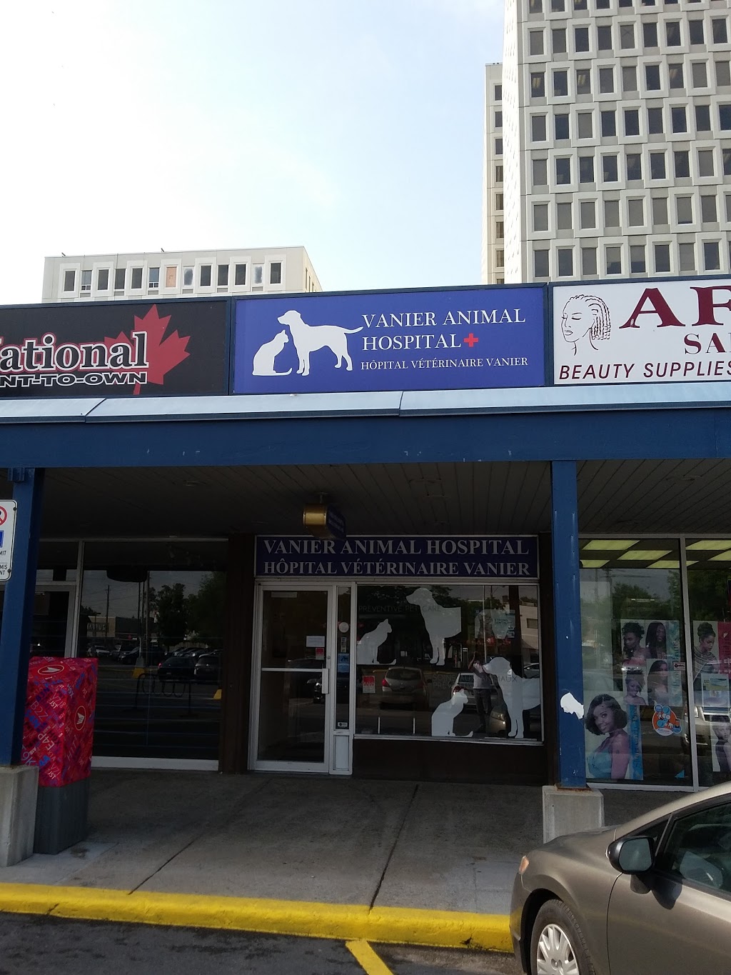 Vanier Animal Hospital | 23-C Selkirk St (Located in Eastview Plaza), Ottawa, ON K1L 6N1, Canada | Phone: (613) 748-1234