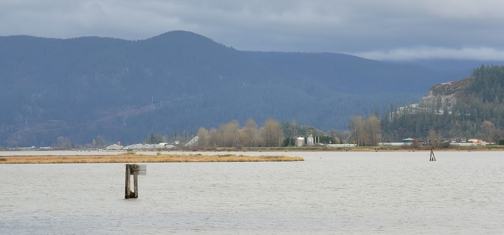 Northlands Equestrian Centre Ltd | 15213 Harris Rd, Pitt Meadows, BC V3Y 1Z1, Canada | Phone: (604) 290-6934